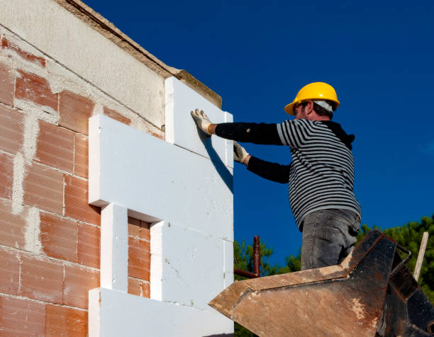 Best Spray Foam Insulation in La Joya, TX