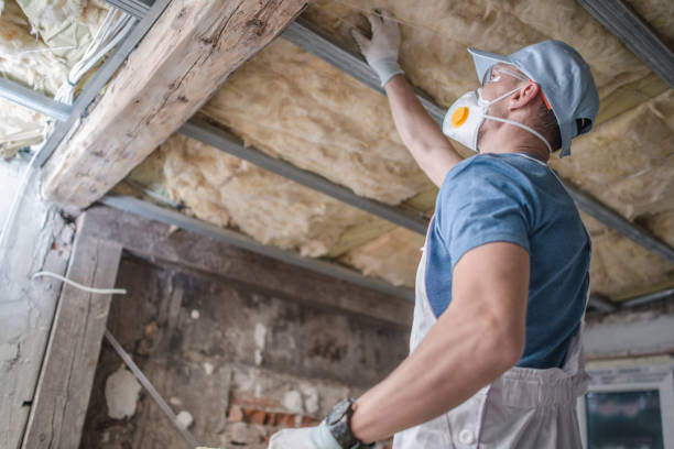 La Joya, TX Insulation Contractor Pros