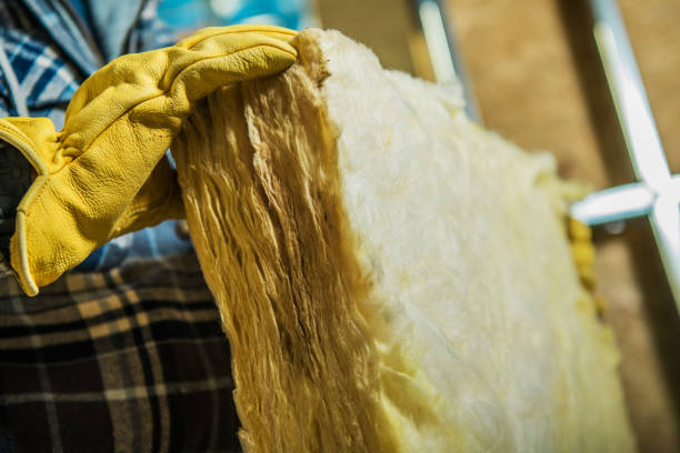 Trusted La Joya, TX Insulation Contractor Experts