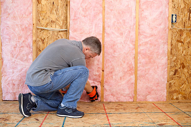 Best Eco-Friendly Insulation in La Joya, TX