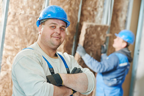 Best Commercial Insulation in La Joya, TX