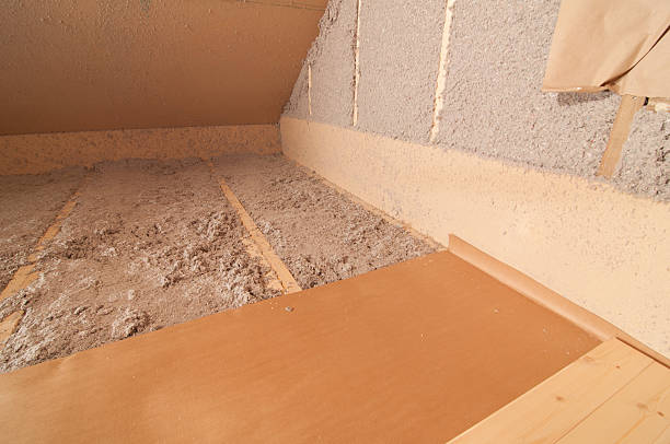 Types of Insulation We Offer in La Joya, TX